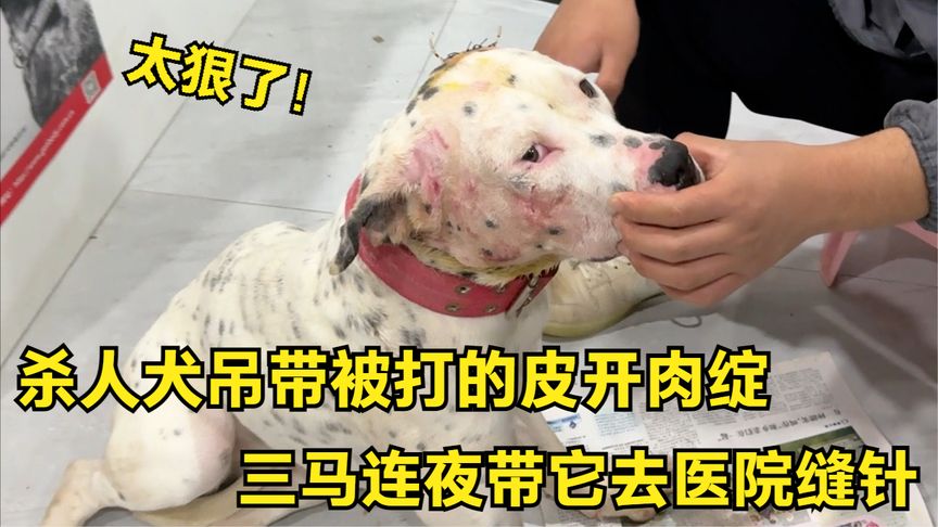 地方新闻 第151页