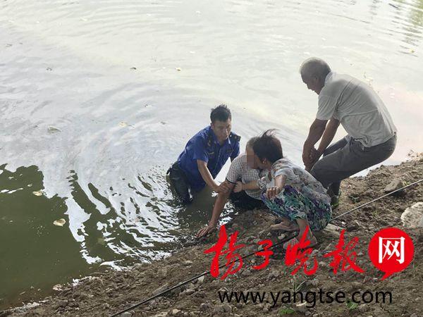 游戏专题 第147页
