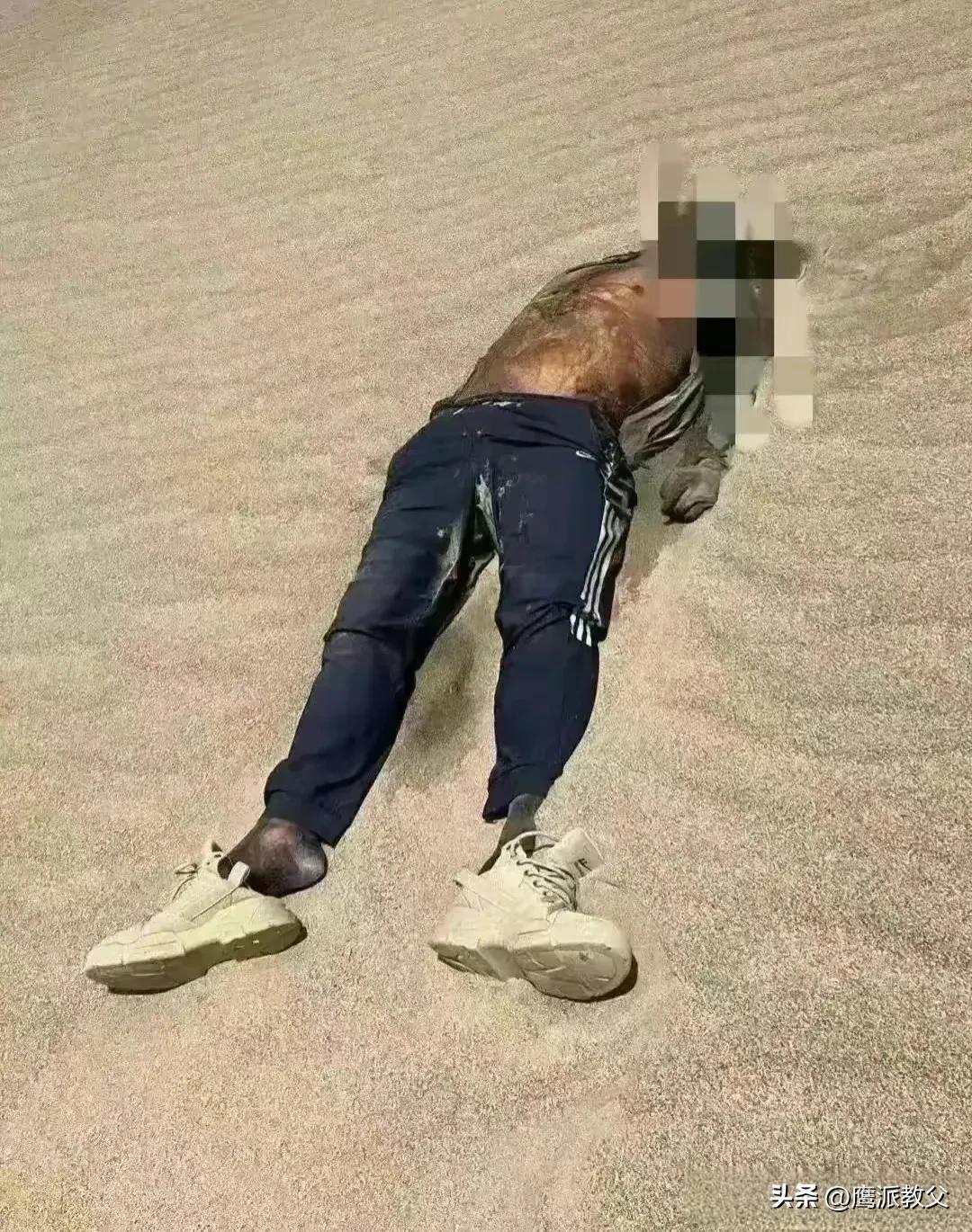 游戏专题 第146页