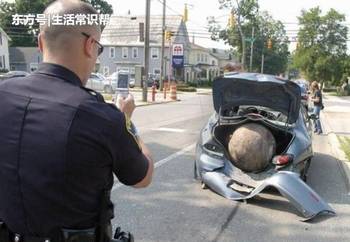 娱乐生活 第131页