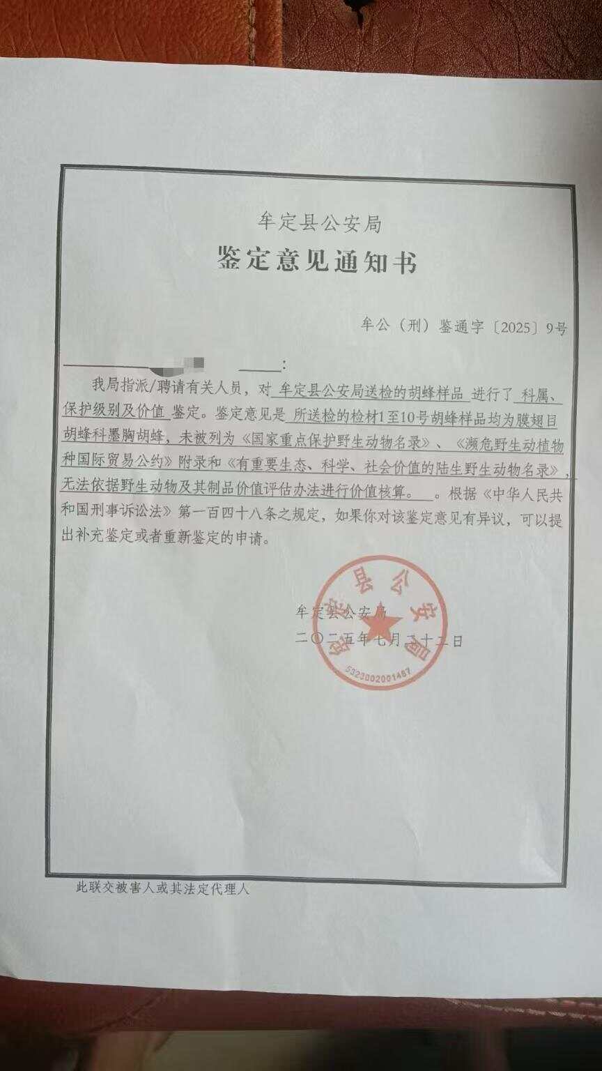 兄妹被胡蜂蜇亡 养蜂人被立案侦查兄妹被胡蜂蜇伤致死事件，养蜂人被立案调查